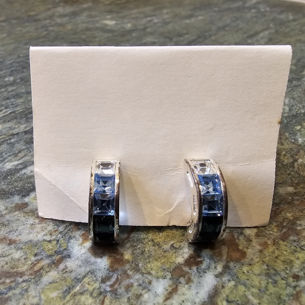 Earrings - Picture 1 of 1